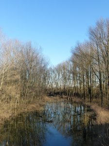 parma-morta-mezzani-jpeg