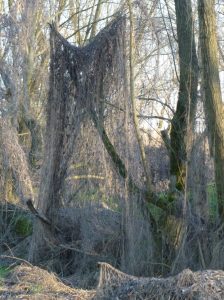 la-rete-zibello-jpeg