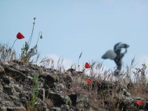 visione-vittoria-parma-jpeg