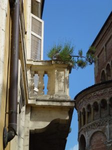 storia-natura-parma-jpeg