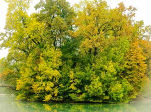 laghetto-ducale-parma