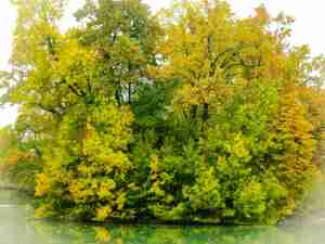 laghetto-ducale-parma